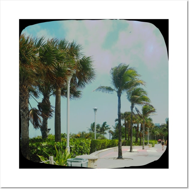 Palm trees photo Miami Florida blue sky palmtree landscape USA nature lovers Wall Art by BoogieCreates